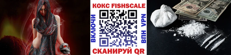 Cocaine FishScale  сколько стоит  Нелидово 