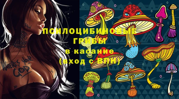 PSILOCYBIN Алзамай