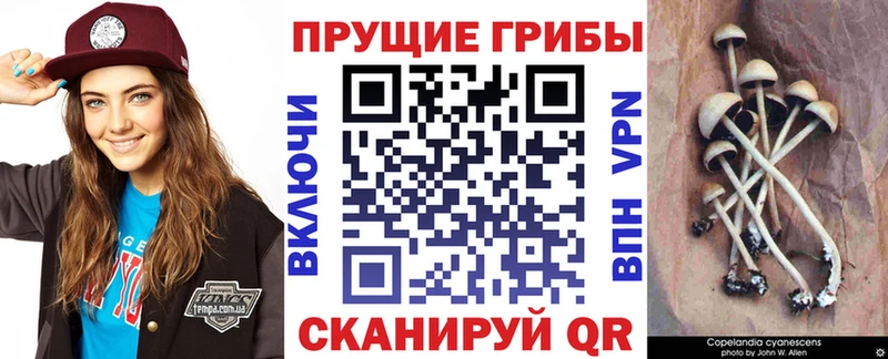 Псилоцибиновые грибы GOLDEN TEACHER  Нелидово 